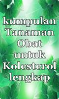 7 Tanaman Obat Kolesterol 截圖 1