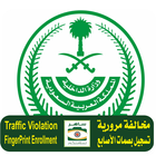 Traffic Violation icône