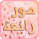 صور منوعة ( تحديث يومي ) APK