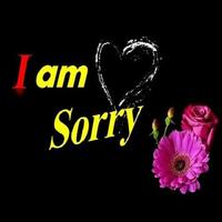 I AM 💖 SORRY poster