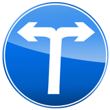 Trailze icon