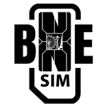 BNESIM