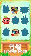 Evolution of Dogs APK download