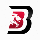 BB3 ikon