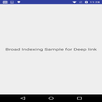 Broad Indexing Example APK