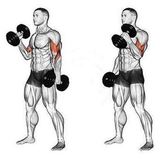 Training Exercise Tutorials