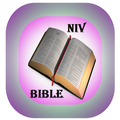 Holy Bible NIV