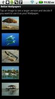 Belize Wallpapers - Free Affiche
