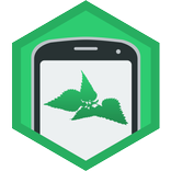 Trattoria l'Ortica Ferrara