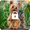 Yorkshire Terriers HD PIN Lock