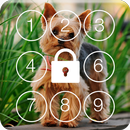 APK Yorkshire Terriers HD PIN Lock