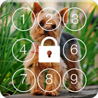Yorkshire Terriers HD PIN Lock icône
