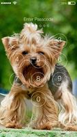 Yorkshire Terriers HD PIN Lock 截圖 1