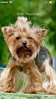 Yorkshire Terriers HD PIN Lock Ekran Görüntüsü 1