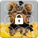 Yorkshire Terrier Screen Lock