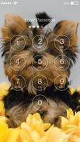 Yorkshire Terrier Screen Lock 截图 1