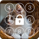 APK Lovely Cat PIN Screen Lock