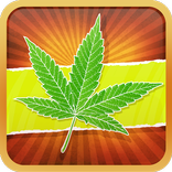 Don't Sell Weed