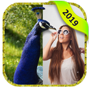 peacock love insta pic frame art APK