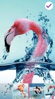 Flamingo Animal Sceen Lock ภาพหน้าจอ 2