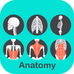 A a Z Anatomia 3D