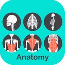 A to Z Anatomy 3D APK