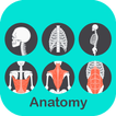 A to Z Anatomy 3D