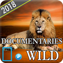 National Geographic:National Grid Documentaries APK
