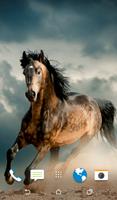 Wild Horses Wallpapers Affiche