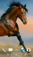 Wild Horses Wallpapers screenshot 2