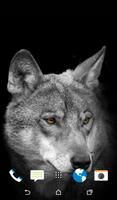 Wolf Wallpaper capture d'écran 3