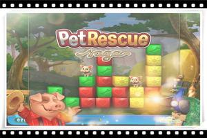 Guide For Pet Rescue Saga Affiche