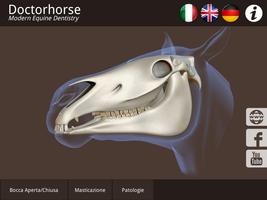 DoctorHorse 海報