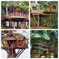 Poster Tree House
