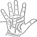 An Introduction to Palmistry APK