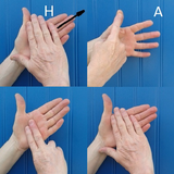 British Sign Language. A Begin icône