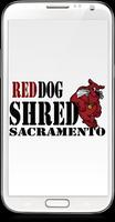 Red Dog Shred Sacramento Affiche
