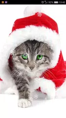 Christmas Ringtones APK download