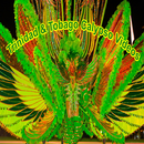 Trinidad Tobago Calypso Videos aplikacja