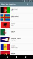 Flags and Countries Affiche