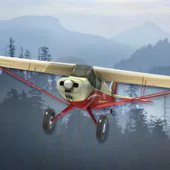 Airplane Fly Bush Pilot XAPK download