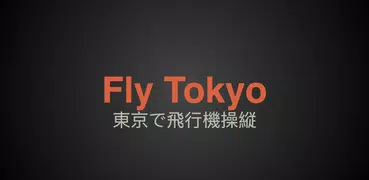 Airplane Fly Tokyo Japan Fligh