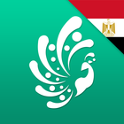 NKM Cairo - Provider آئیکن