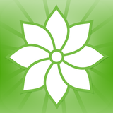 Mindfulness أيقونة