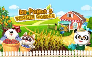 Dr. Panda Veggie Garden poster