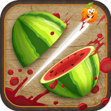 Fruit Slice