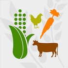 Fresh Food Finder icon