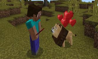 Lions addon for MCPE Affiche