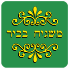 משגיח בכיר icon