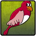 Prime Bird